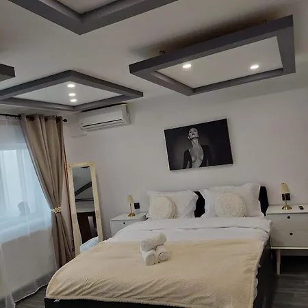 Hera Exclusive Apartment Timisoara