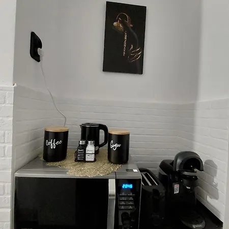 Hera Exclusive Apartment Timisoara
