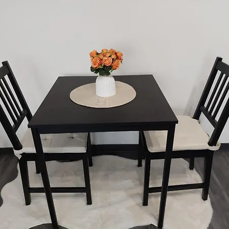 Hera Exclusive Apartament Timişoara